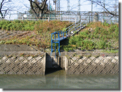 写真：木津用水からの取水