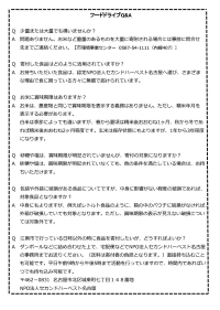 チラシ裏面