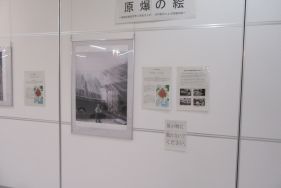 展示の様子