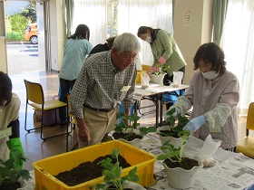 「楽しいベランダ菜園」の様子