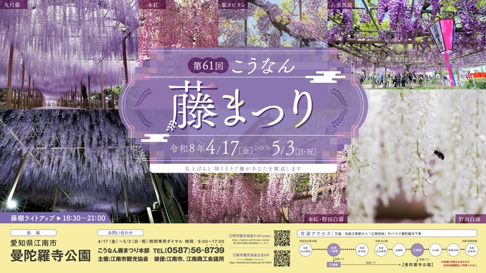 第61回こうなん藤まつり