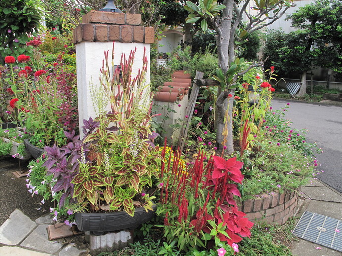 写真：福光 毅八郎（小折本町）