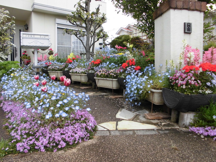 写真：福光　毅八郎（小折本町）