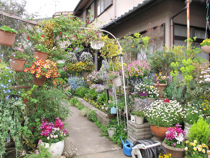 写真：尾関　義公（前野町）