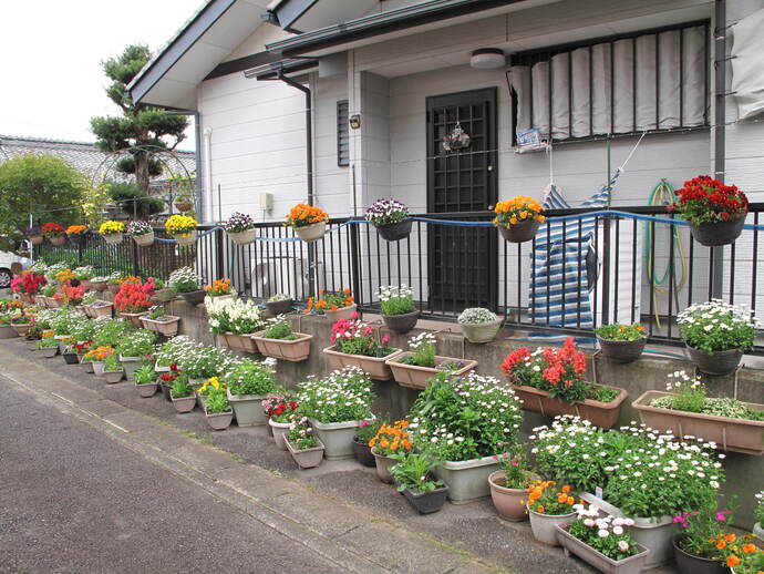 写真：沢田　あけみ（上奈良町）