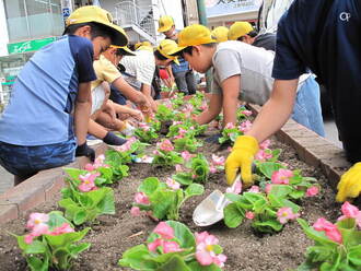 江南駅前花いっぱい運動の写真