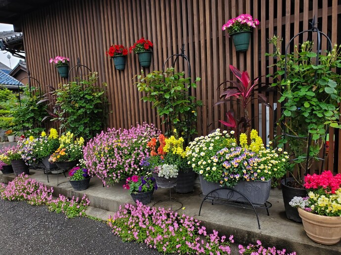 写真：沢田　はつみ（上奈良町）