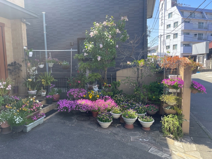 岩田　和美（古知野）