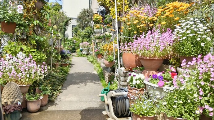 尾関　義公（前野町）