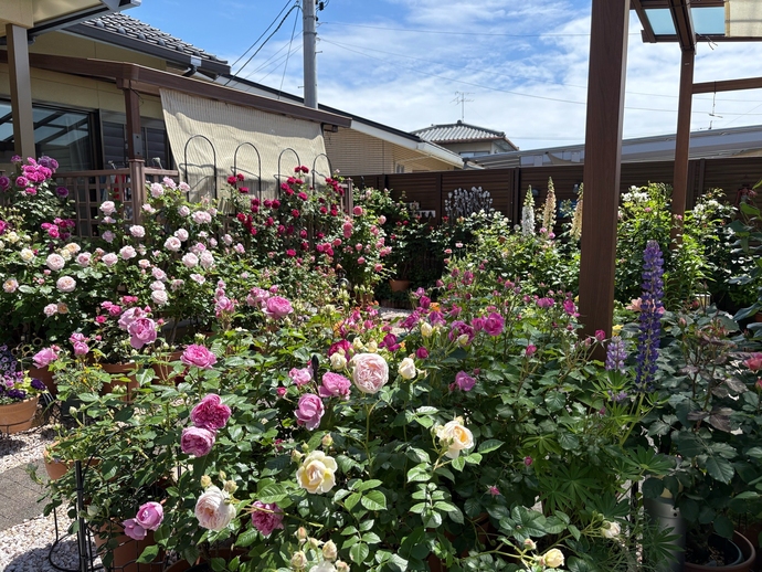 たなか