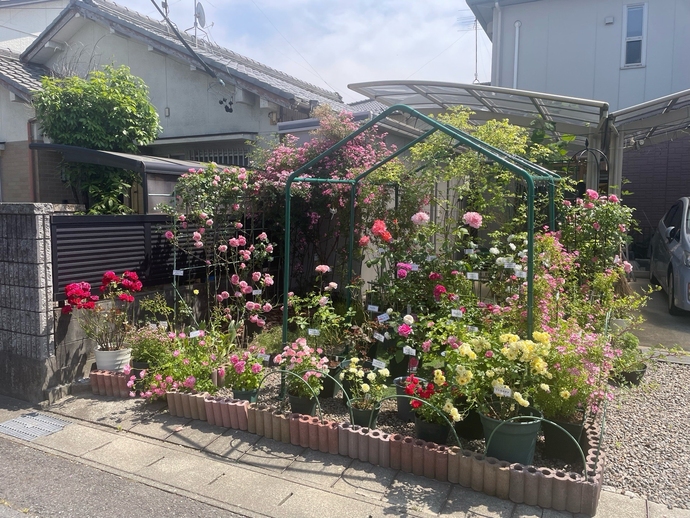 加島　和子（高屋町）