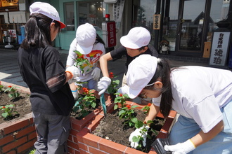 サルビアを植える児童の写真