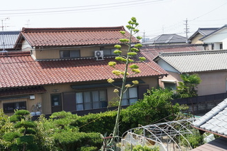 親と子の栄養教室の写真