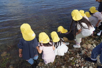 ウナギを眺める園児の写真