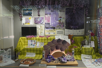 展示のショーケース全体の写真