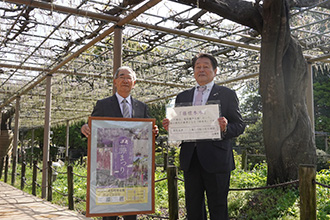 開花基準となる標本木の写真