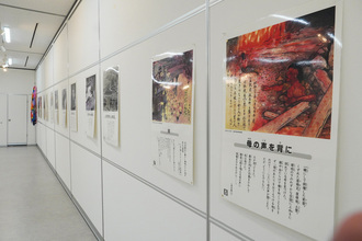世界平和を願うパネル展の写真（1）