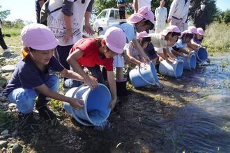 ウナギを放流する園児たちの写真