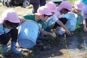 ウナギを放流した川を眺める園児たちの写真